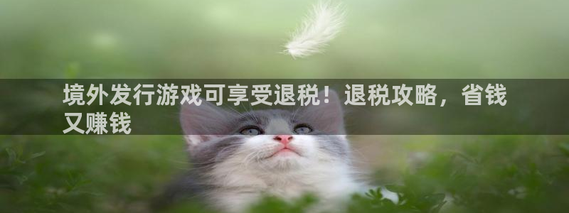 新航娱乐扣费是什么费用啊怎么退：境外发行游戏可享受退税！退税攻略，省钱
又赚钱