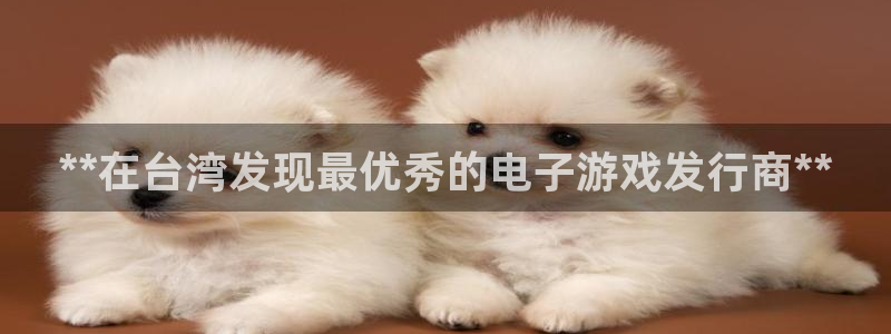 新航娱乐账号注册和账号详情：**在台湾发现最优秀的电子游戏发行商**
