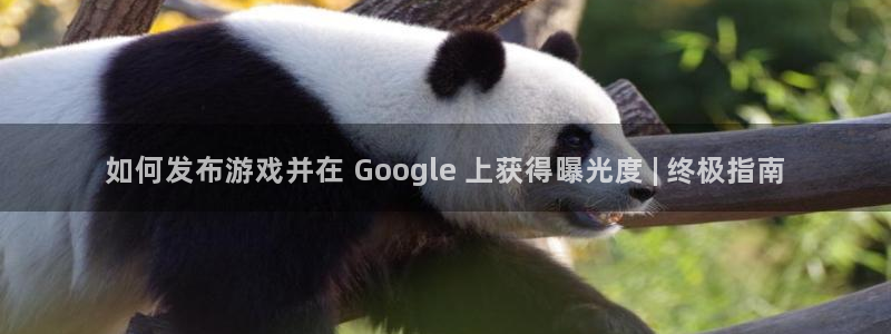 新航娱乐扣费是什么费用啊：如何发布游戏并在 Google 上获得曝光度 | 终极指南