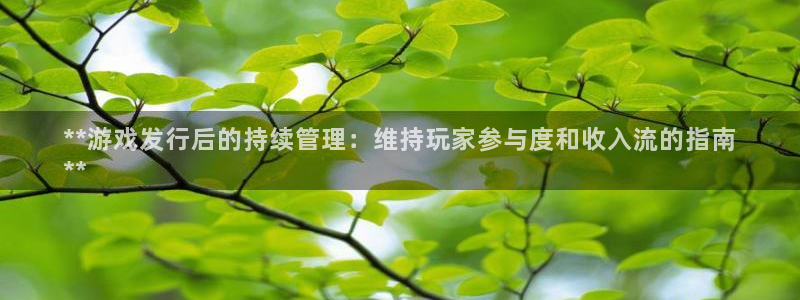 新航娱乐app最新版本更新内容是什么样的：**游戏发行后的持续管理：维持玩家参与度和收入流的指南
**