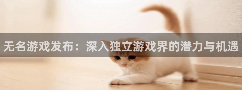 新航娱乐公司扣费流程详解表格：无名游戏发布：深入独立游戏界的潜力与机遇