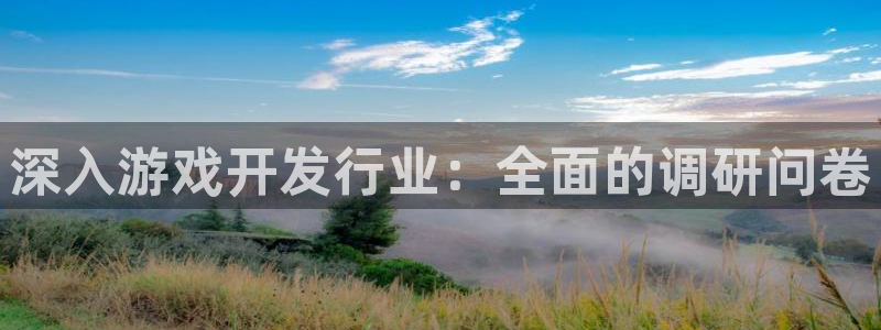 新航娱乐的背景和历史背景分析：深入游戏开发行业：全面的调研问卷