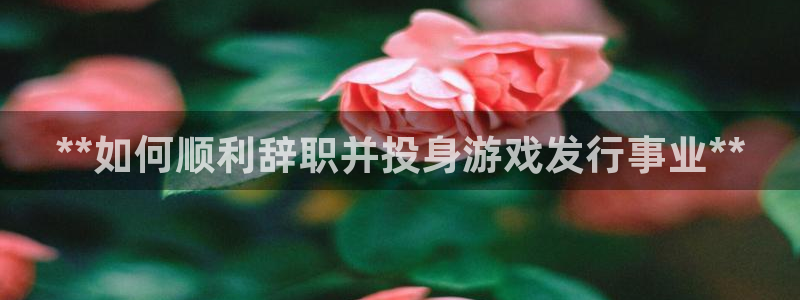 新航娱乐的背景和历史背景介绍：**如何顺利辞职并投身游戏发行事业**