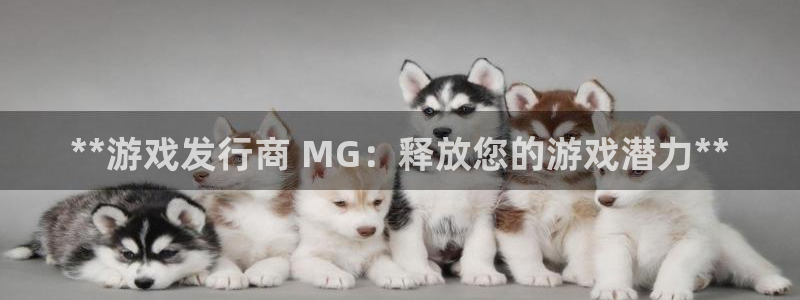 新航娱乐的创始人背景介绍：**游戏发行商 MG：释放您的游戏潜力**