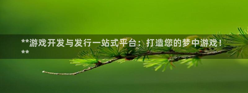 新航娱乐的会员权益与保障是什么：**游戏开发与发行一站式平台：打造您的梦中游戏！
**