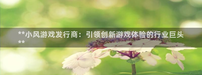 新航娱乐雀7IIII2联他是：**小风游戏发行商：引领创新游戏体验的行业巨头
**