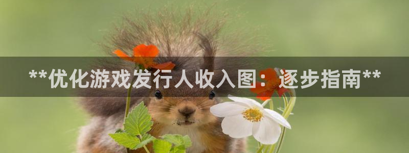 新航娱乐公司扣费流程详解图片大全：**优化游戏发行人收入图：逐步指南**