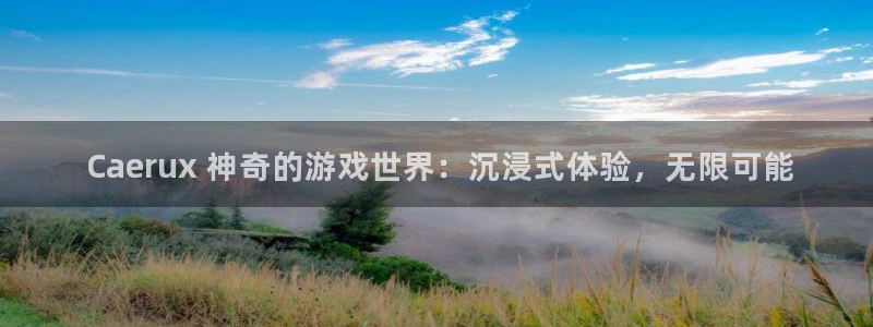 新航娱乐背后的老板叫什么