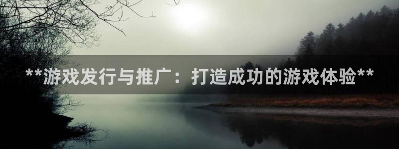 新航娱乐的创始人简介图片：**游戏发行与推广：打造成功的游戏体验**