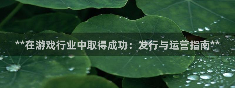 新航娱乐扣款后还能重新扣费吗：**在游戏行业中取得成功：发行与运营指南**