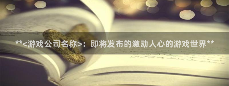 新航娱乐的员工工资福利及待遇