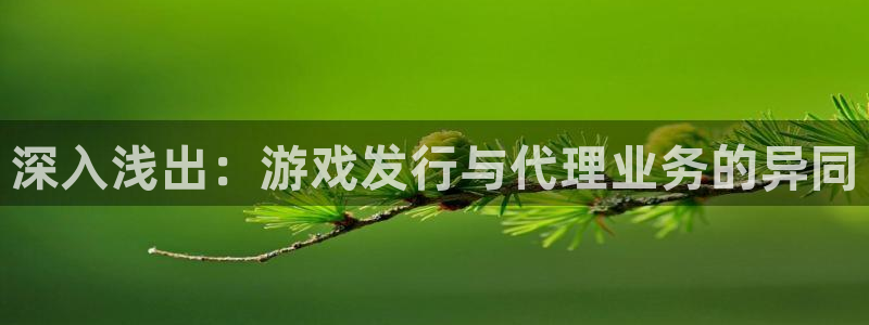 新航娱乐招商碰回复 485624 多少钱：深入浅出：游戏发行与代理业务的异同