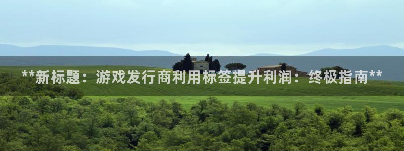 新航娱乐的创始人是谁呀：**新标题：游戏发行商利用标签提升利润：终极指南**