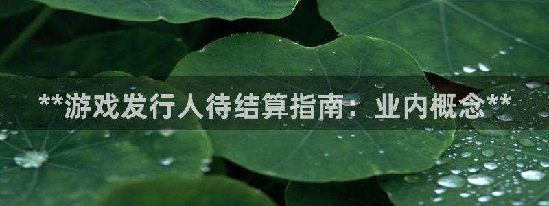 新航娱乐招商碰回复 485624 多少钱：**游戏发行人待结算指南：业内概念**