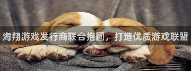 新航娱乐挂机.直开.中国(官方下载)：海翔游戏发行商联合抱团，打造优质游戏联盟