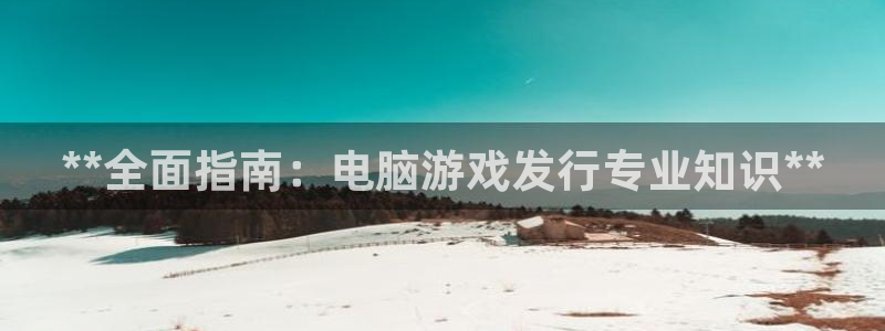 新航娱乐的背景和历史背景分析：**全面指南：电脑游戏发行专业知识**
