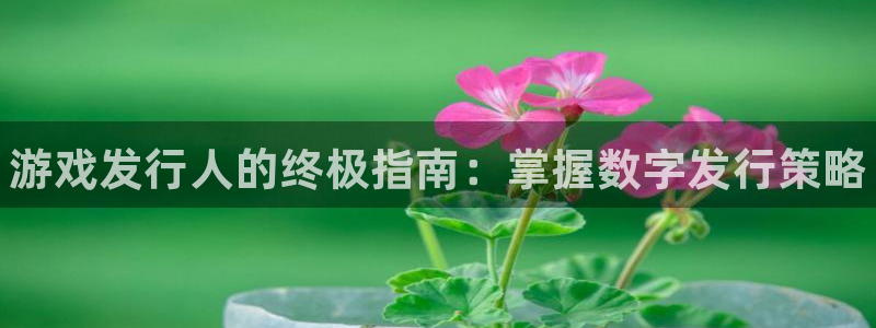 新航娱乐的创始人背景介绍：游戏发行人的终极指南：掌握数字发行策略