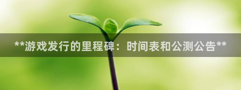 新航娱乐的创始人简介是谁：**游戏发行的里程碑：时间表和公测公告**