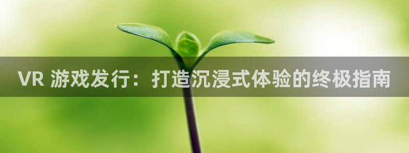 新航娱乐旗下艺人名单表：VR 游戏发行：打造沉浸式体验的终极指南