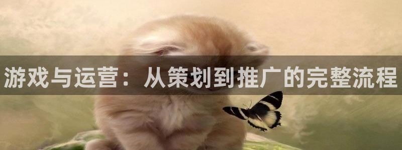 新航娱乐招商碰回复 485624 多少钱