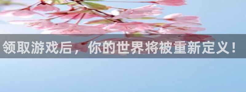 新航娱乐的背景和历史背景