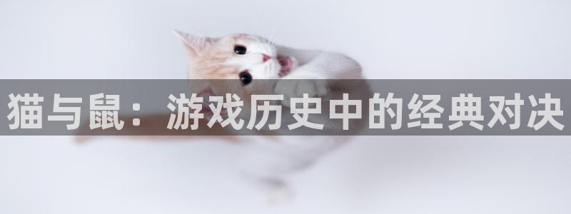 新航娱乐公司扣费流程详解表最新：猫与鼠：游戏历史中的经典对决