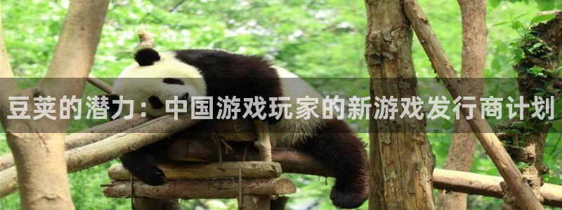 新航娱乐直开.中国最新版本更新内容：豆荚的潜力：中国游戏玩家的新游戏发行商计划