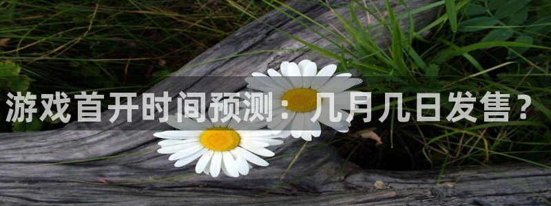 新航娱乐app最新版本更新内容介绍大全：游戏首开时间预测：几月几日发售？