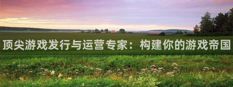 新航娱乐账号注册和账号详情：顶尖游戏发行与运营专家：构建你的游戏帝国