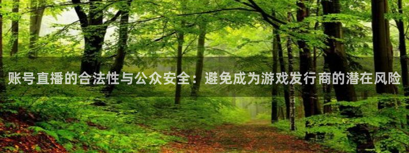 新航娱乐公司简介和历史背景怎么写：账号直播的合法性与公众安全：避免成为游戏发行商的潜在风险
