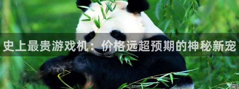 新航娱乐app官方免费下载苹果：史上最贵游戏机：价格远超预期的神秘新宠