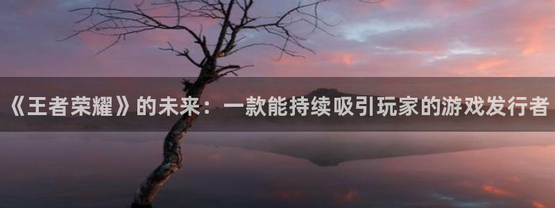 新航娱乐的创始人简介资料：《王者荣耀》的未来：一款能持续吸引玩家的游戏发行者