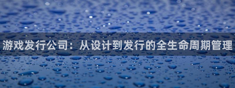 新航娱乐app手机版官网：游戏发行公司：从设计到发行的全生命周期管理