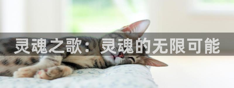 新航娱乐公司旗下艺人名单：灵魂之歌：灵魂的无限可能