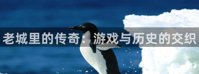 新航娱乐公司扣费流程详解视频大全