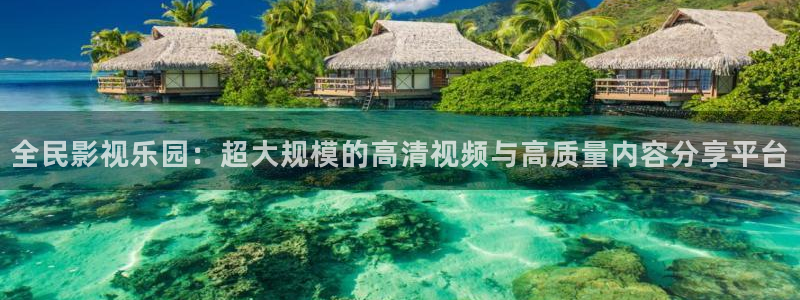樱桃装箱视频教程