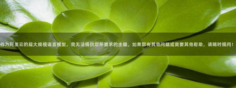 樱桃t