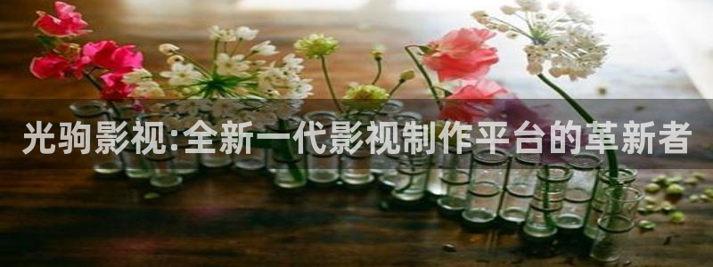 樱桃2008电影下载：光驹影视:全新一代影视制作平台的革新者