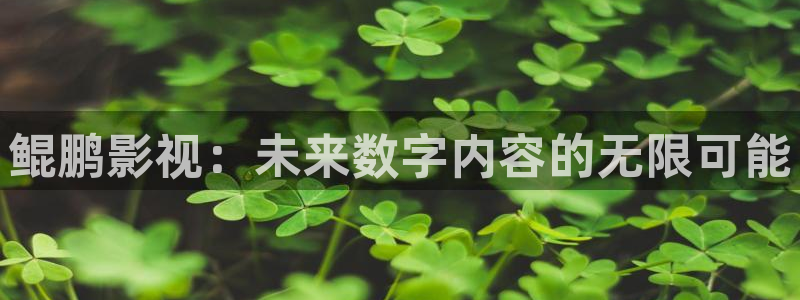 樱桃app最新下载地址