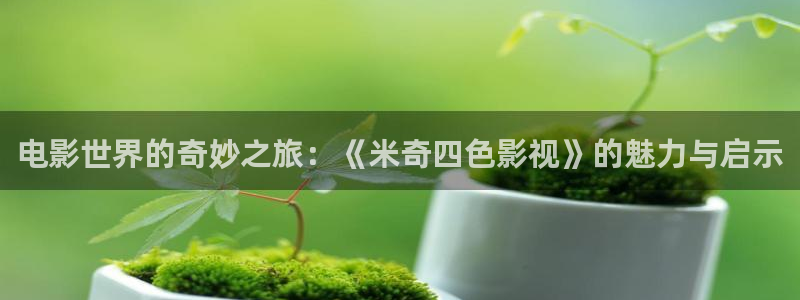 樱桃87：电影世界的奇妙之旅：《米奇四色影视》的魅力与启示