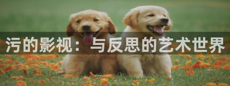 樱桃视频免费观
