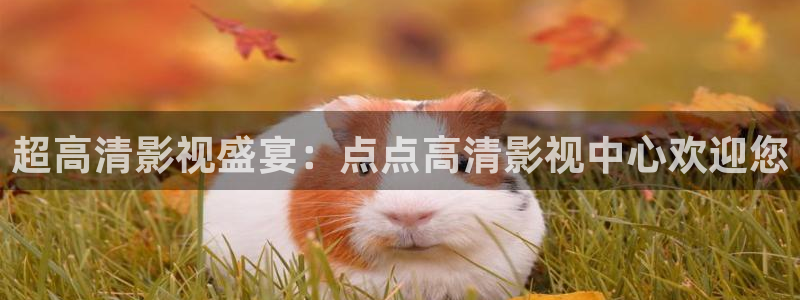 樱桃视频啊啊啊啊