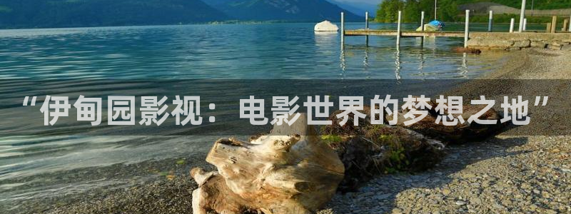 樱桃实拍视频