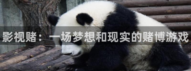 樱桃精品视频